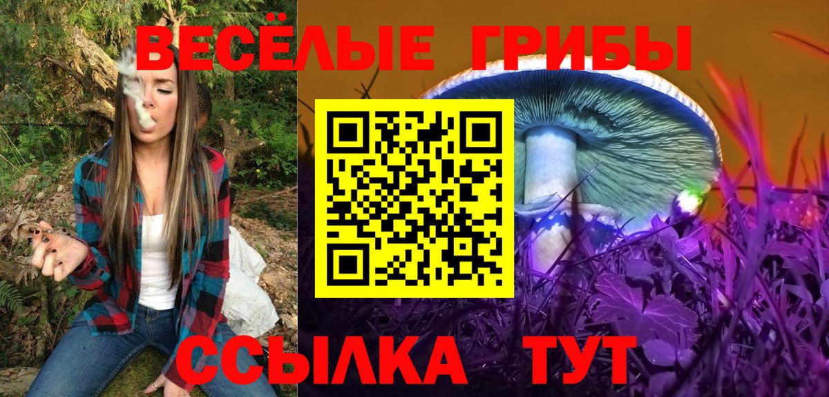 Псилоцибиновые грибы Cubensis  Вход с VPN  Первоуральск  Галлюциногенные грибы Psilocybe 